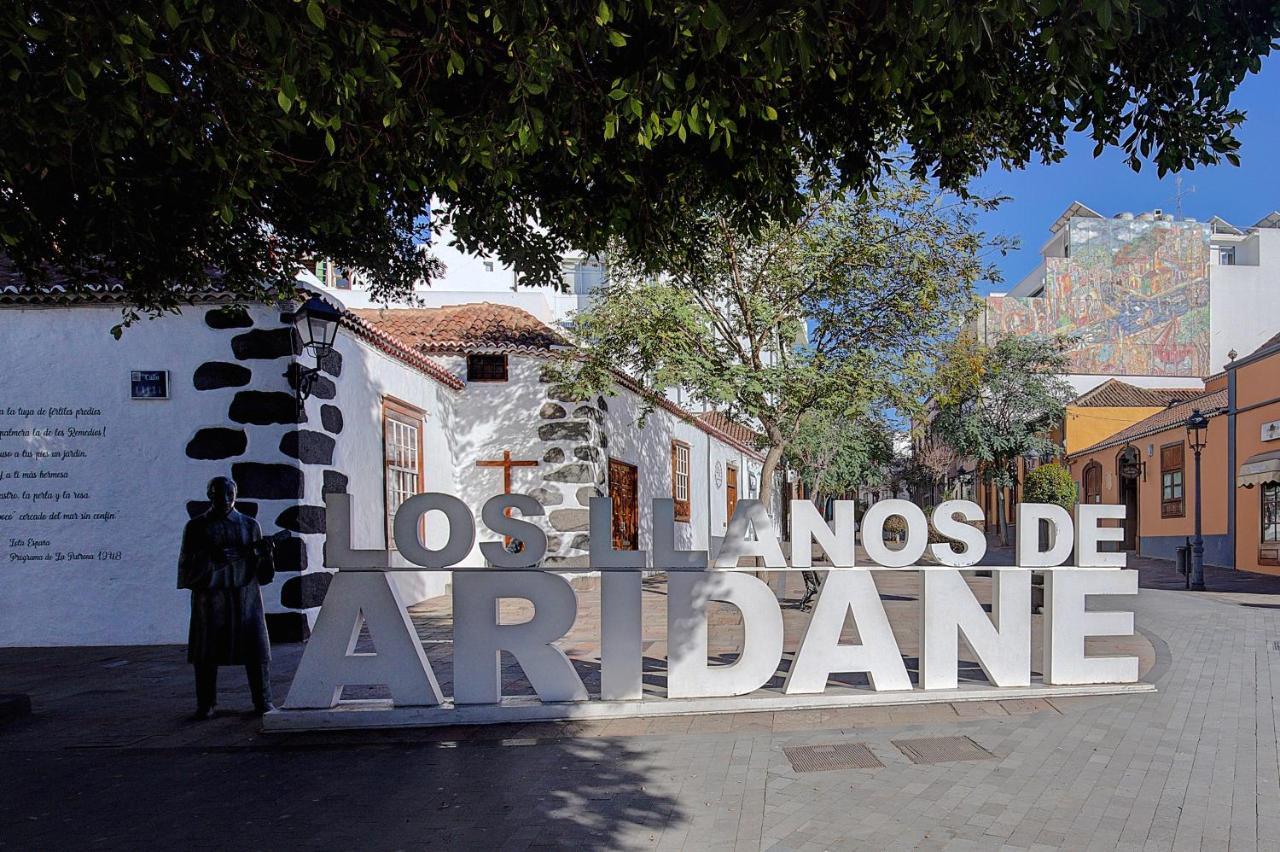 Elita Apartment Los Llanos De Aridane Dış mekan fotoğraf